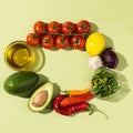 The ingredients for making Spicy Guacamole are avocado, red onion, tomato, chili, lime, cilantro, and garlic. National Royalty Free Stock Photo