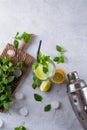 Ingredients for Mojito Cocktails or other drinks on a gray background Royalty Free Stock Photo