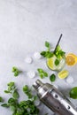 Ingredients for Mojito Cocktails or other drinks on a gray background Royalty Free Stock Photo