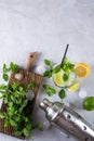 Ingredients for Mojito Cocktails or other drinks on a gray concrete Royalty Free Stock Photo