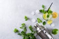 Ingredients for Mojito Cocktails or other drinks on a gray concrete Royalty Free Stock Photo