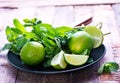 Ingredients for mojito