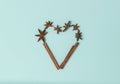 Ingredients for mulled wine sticks of cinnamon and star anise in the shape of a heart on a mint background. Flat festive layout