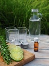 Ingredients for natural homemade repellent on white wooden table