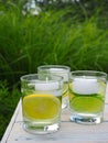 Ingredients for natural homemade repellent on white wooden table