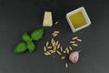 Ingredients for pesto sauce Royalty Free Stock Photo
