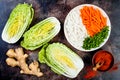 Ingredients for preparing cabbage kimchi. Fermented food