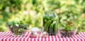 Ingredients for the preservation of cucumbers