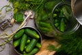 raw cucumbers for pickling. Fresh cucumbers ready for canning with dill,currant leaf, pepper, garlic and spices on grey backgroud, Royalty Free Stock Photo