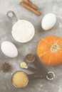 Ingredients for pumpkin pie - flour, pumpkins, eggs, cane sugar, various spices (nutmeg, ginger, cinnamon, anise) on a gray Royalty Free Stock Photo