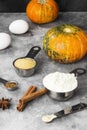 Ingredients for pumpkin pie - flour, pumpkins, eggs, cane sugar, various spices (nutmeg, ginger, cinnamon, anise) on a gray Royalty Free Stock Photo