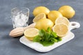 Ingredients for refreshment summer drink. Traditional ingredients for lemonade with lemon mint and ice Wooden squeezer Mint leaf Royalty Free Stock Photo