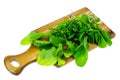 Ingredients for salad from green leaves of garden herbs on cutting board Royalty Free Stock Photo