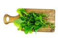 Ingredients for salad from green leaves of garden herbs on cutting board Royalty Free Stock Photo