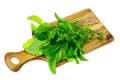 Ingredients for salad from green leaves of garden herbs on cutting board Royalty Free Stock Photo