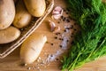 Ingredients to prepare potato dishes: tubers, garlic, dill Royalty Free Stock Photo