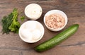 Ingredients for the tuna salad: canned tuna eggs cucumber mayonnaise dill and parsley