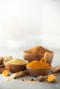 Ingredients for turmeric latte. Ground turmeric, curcuma root, cinnamon, ginger, black pepper on grey background. Spices