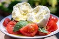 Ingredients for vegetarian caprese salad, buffalo mozzarella cheese, fresh basil, tomatoes, olive oil. Italian food served outdoor Royalty Free Stock Photo