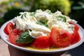 Ingredients for vegetarian caprese salad, buffalo mozzarella cheese, fresh basil, tomatoes, olive oil. Italian food served outdoor Royalty Free Stock Photo