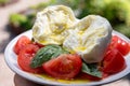 Ingredients for vegetarian caprese salad, buffalo mozzarella cheese, fresh basil, tomatoes, olive oil. Italian food served outdoor Royalty Free Stock Photo