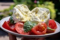 Ingredients for vegetarian caprese salad, buffalo mozzarella cheese, fresh basil, tomatoes, olive oil. Italian food served outdoor Royalty Free Stock Photo