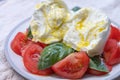 Ingredients for vegetarian caprese salad, buffalo mozzarella cheese, fresh basil, tomatoes, olive oil. Italian food served outdoor Royalty Free Stock Photo