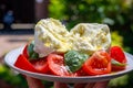 Ingredients for vegetarian caprese salad, buffalo mozzarella cheese, fresh basil, tomatoes, olive oil. Italian food served outdoor Royalty Free Stock Photo