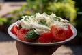 Ingredients for vegetarian caprese salad, buffalo mozzarella cheese, fresh basil, tomatoes, olive oil. Italian food served outdoor Royalty Free Stock Photo