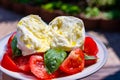 Ingredients for vegetarian caprese salad, buffalo mozzarella cheese, fresh basil, tomatoes, olive oil. Italian food served outdoor Royalty Free Stock Photo