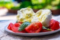 Ingredients for vegetarian caprese salad, buffalo mozzarella cheese, fresh basil, tomatoes, olive oil. Italian food served outdoor Royalty Free Stock Photo