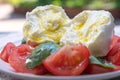 Ingredients for vegetarian caprese salad, buffalo mozzarella cheese, fresh basil, tomatoes, olive oil. Italian food served outdoor Royalty Free Stock Photo