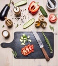 Ingredients for vegetarian salad, cucumbers, eggplant, red bell pepper, tomatoes, spices herbs, lies next to a cutting board a Royalty Free Stock Photo