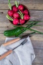 Ingredients for vitamin spring salad: green onion, radish, cucumber, sour cream. Royalty Free Stock Photo