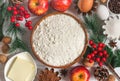 Ingredients for winter New Year`s baking. Christmas food background Royalty Free Stock Photo