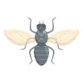 Inhabit tsetse fly icon cartoon vector. Animal mosquito