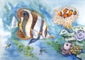 Inhabitants of the seabed watercolor illustration.