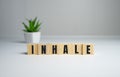 Inhale concept. changes the word INHALE, lung concept