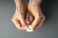 Inheritance concept. Elderly woman hands give a little toy house.