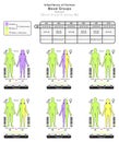 Inheritance of Human Blood Group B Infographic Diagram example alleles BB