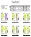 Inheritance of Human Blood Group B Infographic Diagram example alleles BO