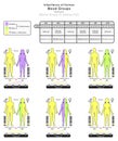 Inheritance of Human Blood Group O Infographic Diagram example alleles OO