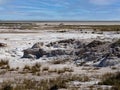 Inhospitable landscape in Etosha National Park. Namibia Royalty Free Stock Photo
