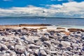 Inisheer Island