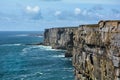 Scenic cliffs of Inishmore, Aran Islands, Ireland