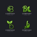 Initial B logo with leaf elements template Royalty Free Stock Photo