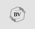 Initial BV feminine logo. Usable for Nature, Salon, Spa, Cosmetic and Beauty Logos. Flat Vector Logo Design Template Element