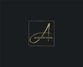 Initial cursive golden color with typography text A vector Royalty Free Stock Photo