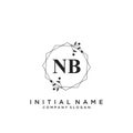 NB Initial handwriting logo design