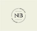 Initial NB beauty monogram and elegant logo design